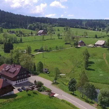 Holiday Tannenblick *