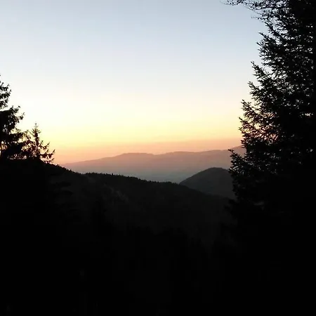 Holiday Tannenblick דירה