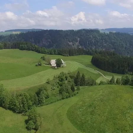 Holiday Tannenblick